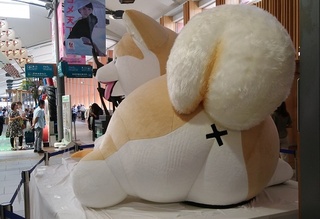 Akita2019_05.jpg